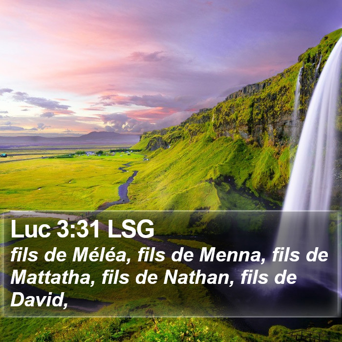 Luc 3:31 LSG Bible Study