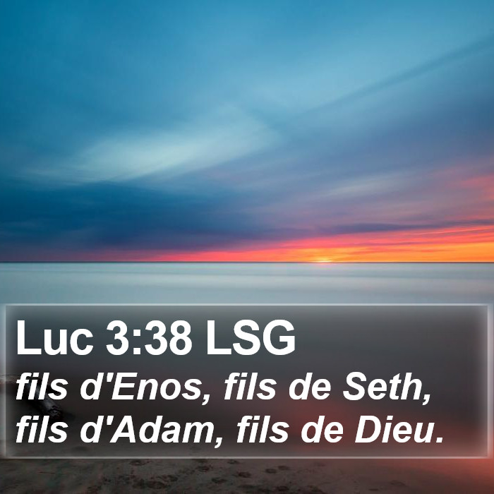 Luc 3:38 LSG Bible Study