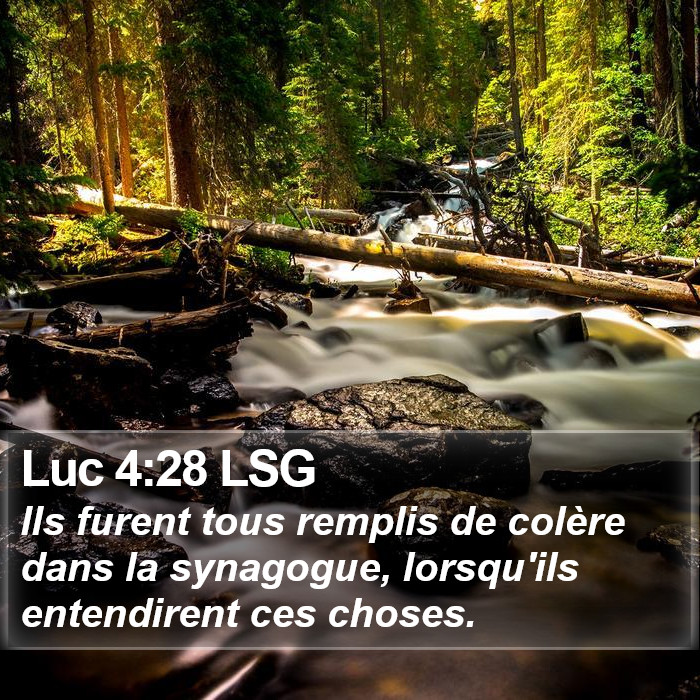 Luc 4:28 LSG Bible Study