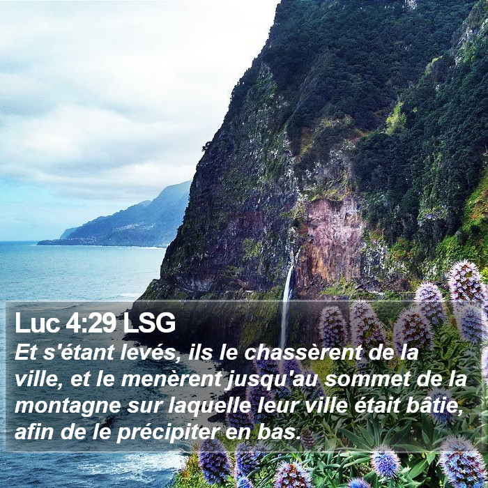 Luc 4:29 LSG Bible Study