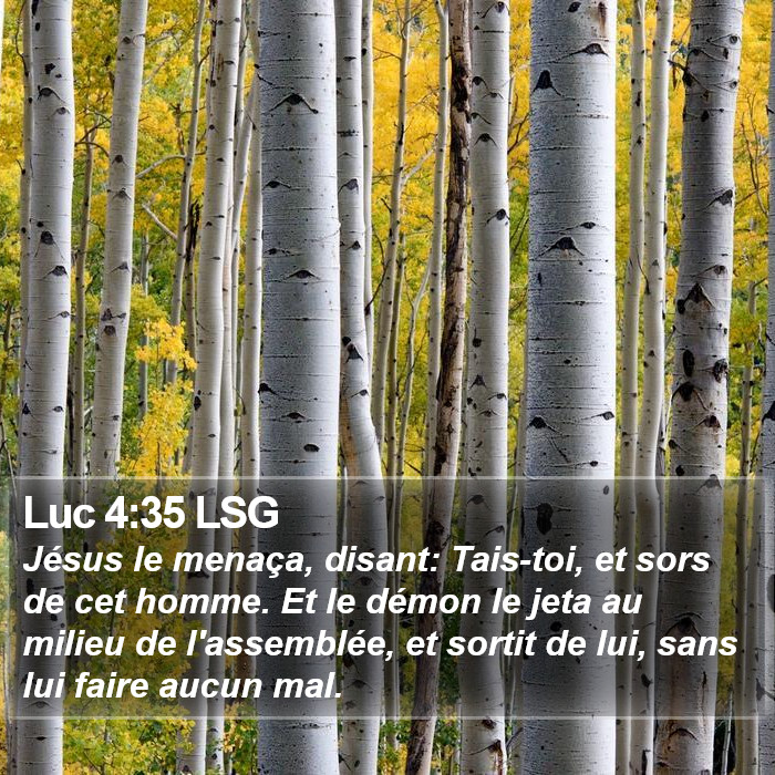 Luc 4:35 LSG Bible Study