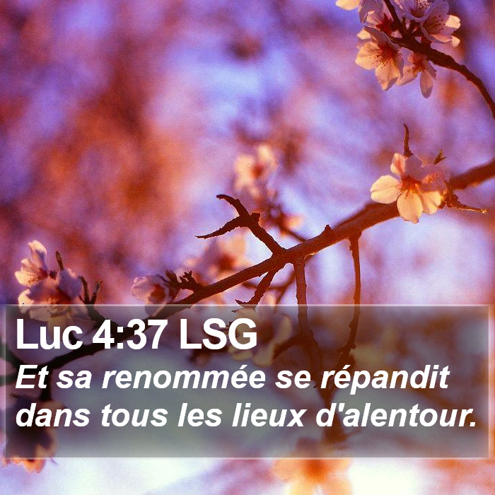 Luc 4:37 LSG Bible Study