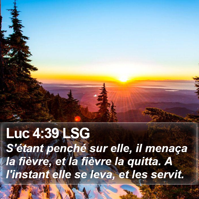 Luc 4:39 LSG Bible Study