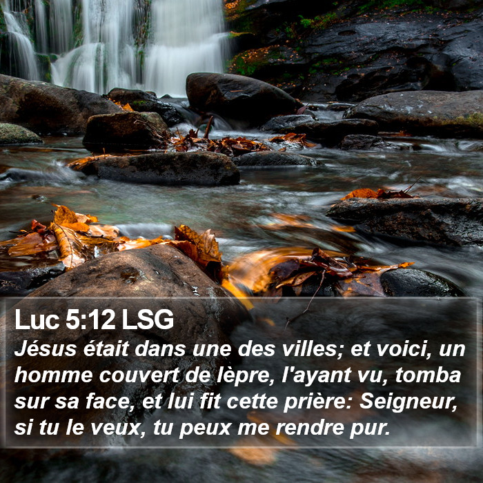 Luc 5:12 LSG Bible Study