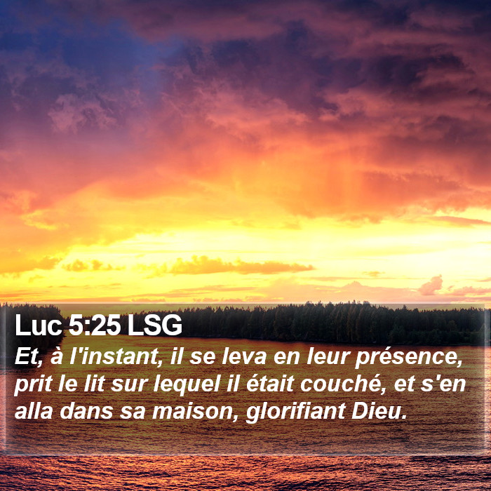 Luc 5:25 LSG Bible Study