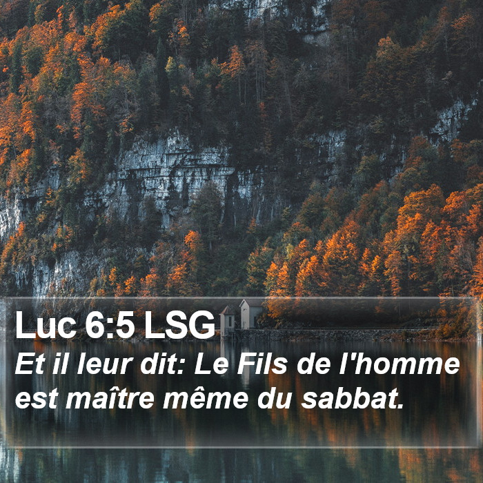 Luc 6:5 LSG Bible Study