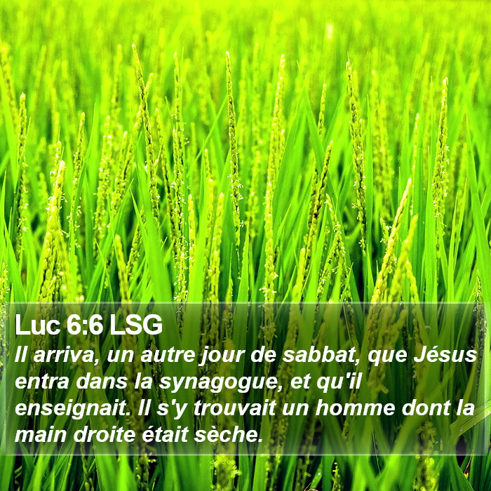 Luc 6:6 LSG Bible Study