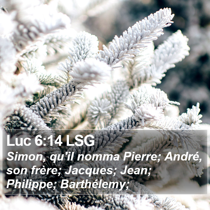 Luc 6:14 LSG Bible Study