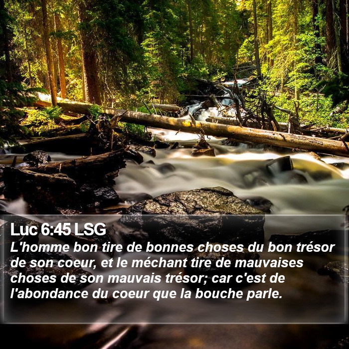 Luc 6:45 LSG Bible Study