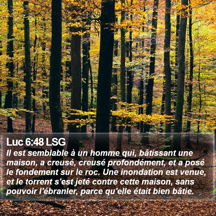 Luc 6:48 LSG Bible Study