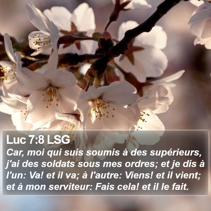 Luc 7:8 LSG Bible Study