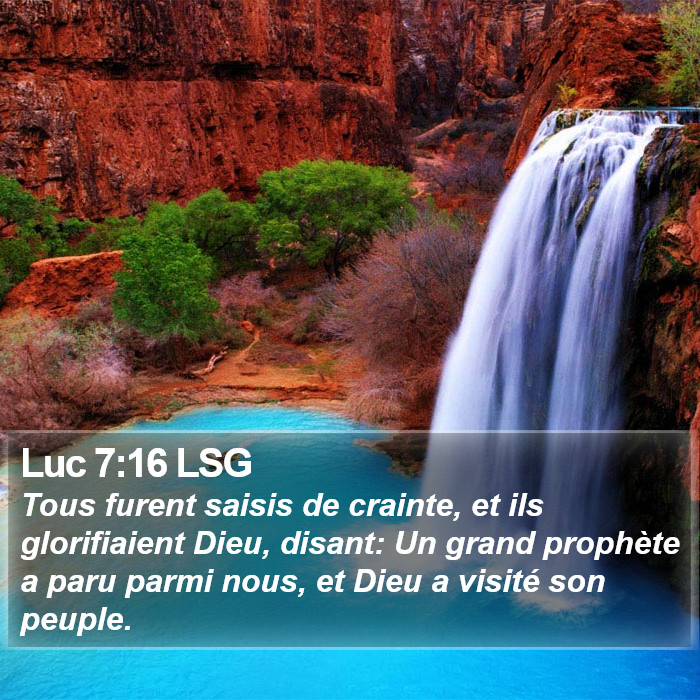 Luc 7:16 LSG Bible Study