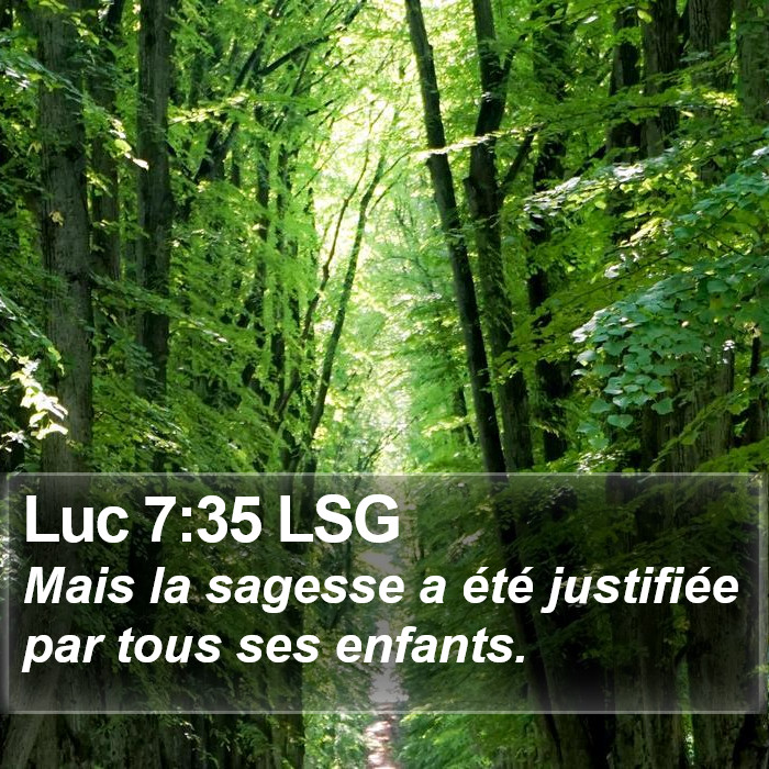 Luc 7:35 LSG Bible Study