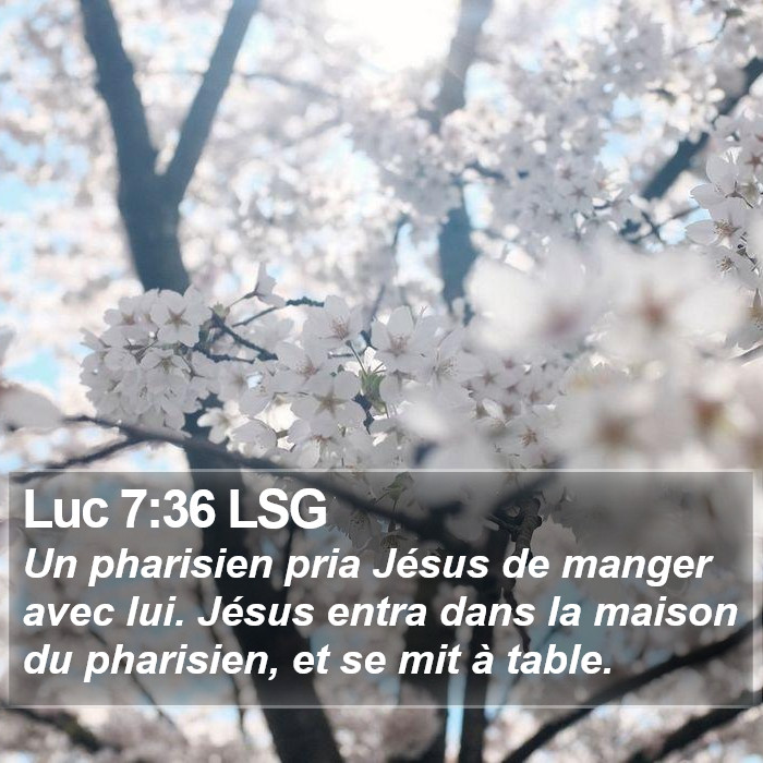 Luc 7:36 LSG Bible Study