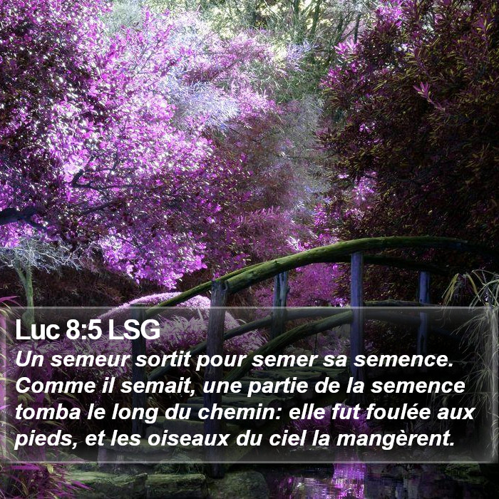 Luc 8:5 LSG Bible Study