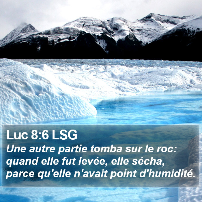 Luc 8:6 LSG Bible Study