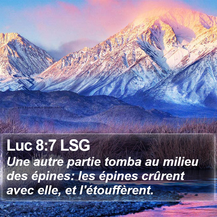 Luc 8:7 LSG Bible Study