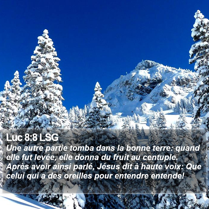 Luc 8:8 LSG Bible Study