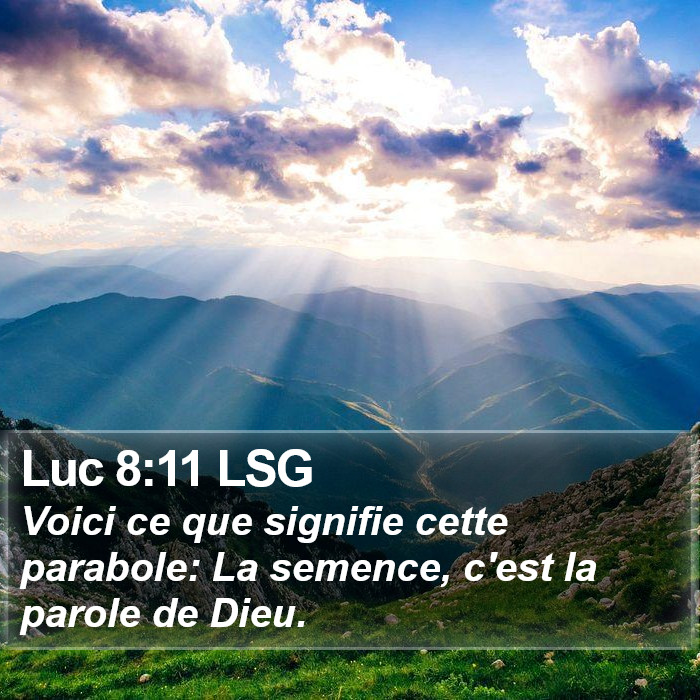 Luc 8:11 LSG Bible Study