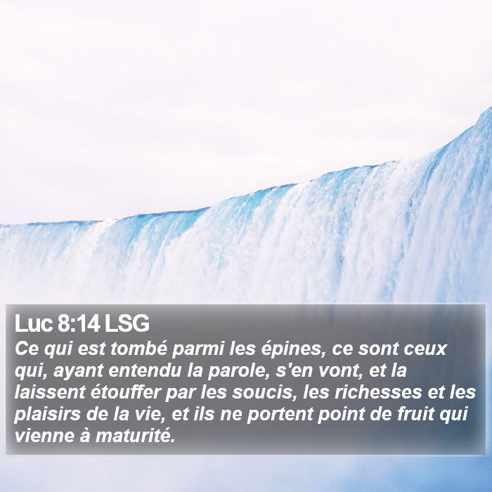 Luc 8:14 LSG Bible Study