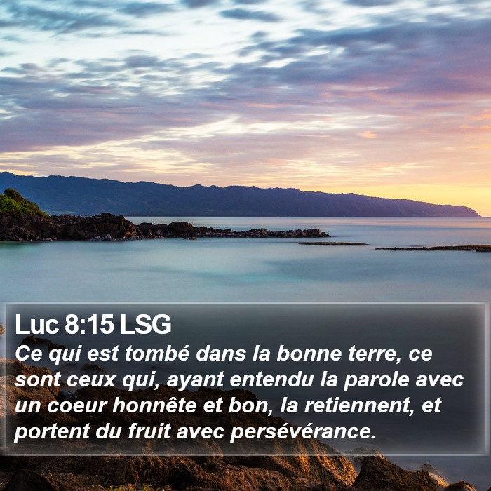 Luc 8:15 LSG Bible Study