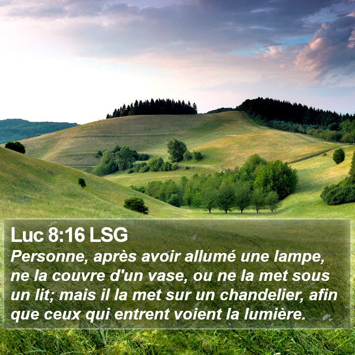 Luc 8:16 LSG Bible Study