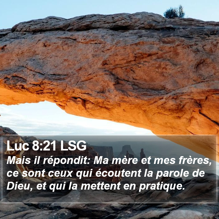 Luc 8:21 LSG Bible Study