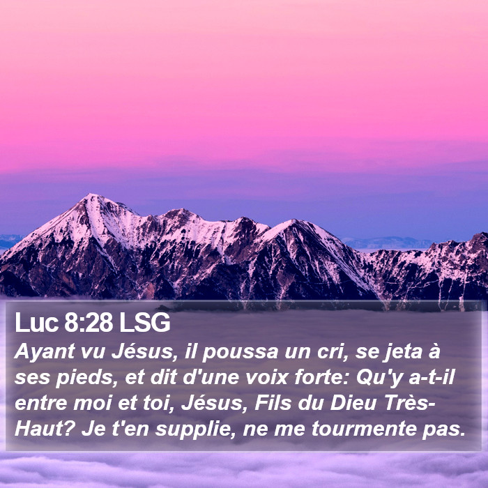 Luc 8:28 LSG Bible Study