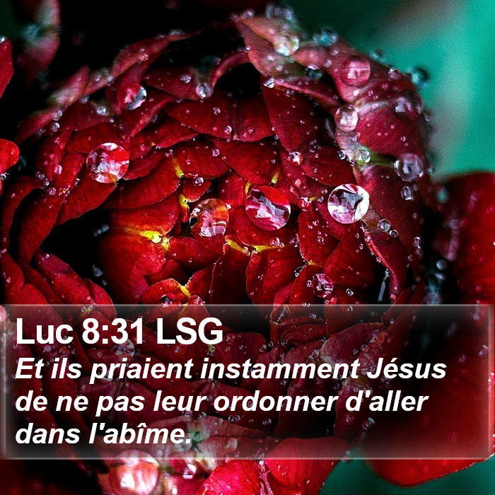 Luc 8:31 LSG Bible Study