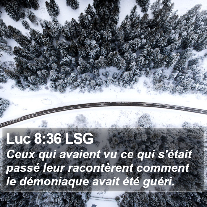 Luc 8:36 LSG Bible Study