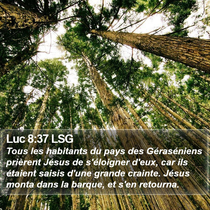 Luc 8:37 LSG Bible Study