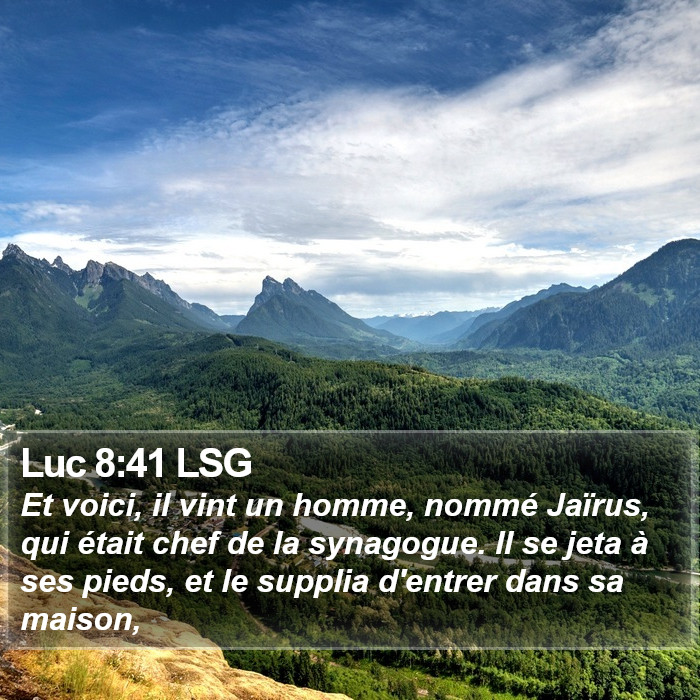 Luc 8:41 LSG Bible Study