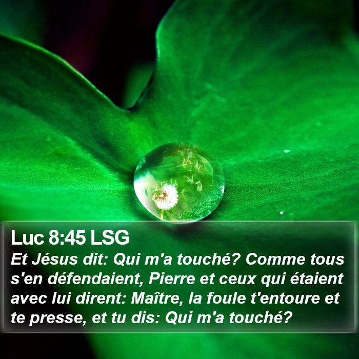 Luc 8:45 LSG Bible Study