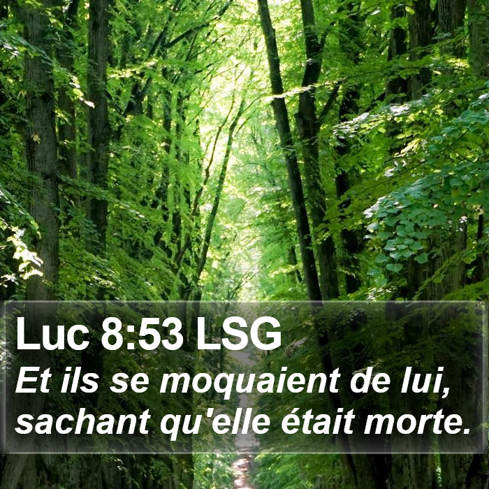 Luc 8:53 LSG Bible Study