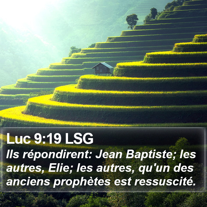 Luc 9:19 LSG Bible Study