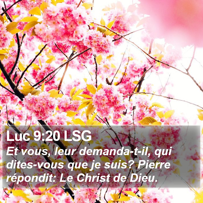 Luc 9:20 LSG Bible Study