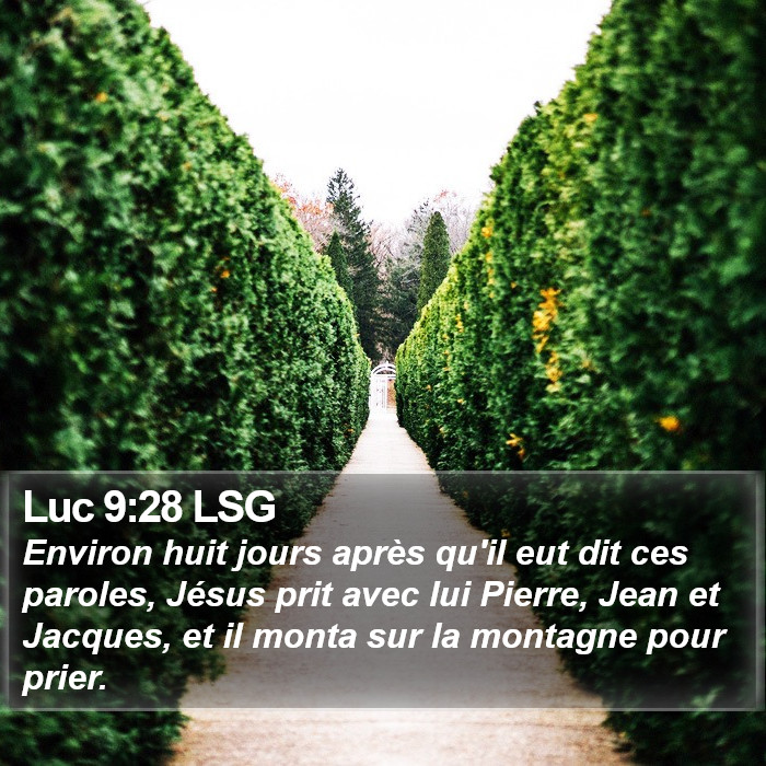 Luc 9:28 LSG Bible Study