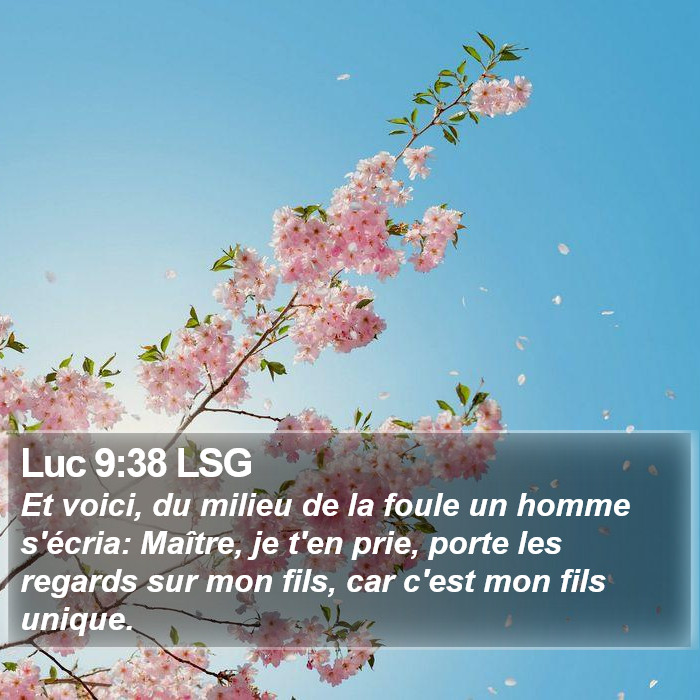 Luc 9:38 LSG Bible Study