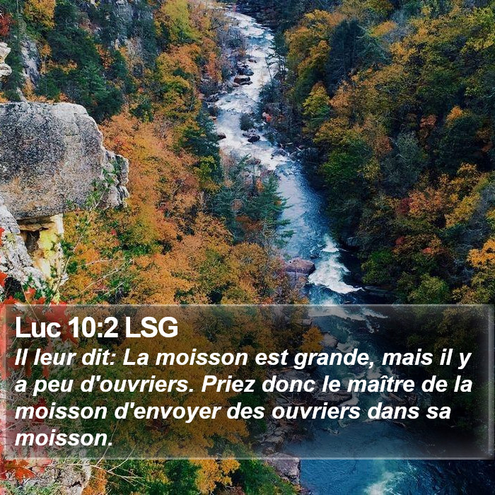 Luc 10:2 LSG Bible Study