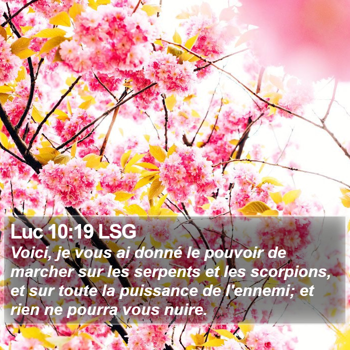 Luc 10:19 LSG Bible Study