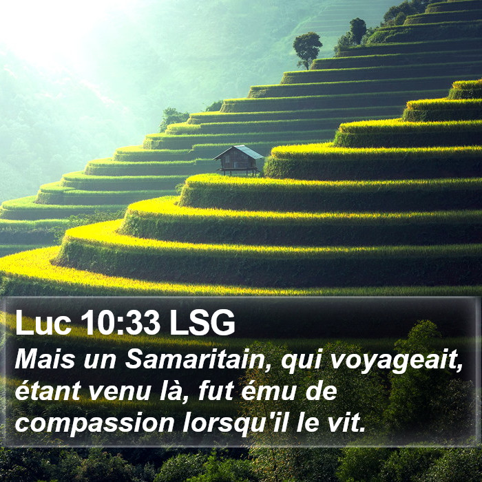 Luc 10:33 LSG Bible Study
