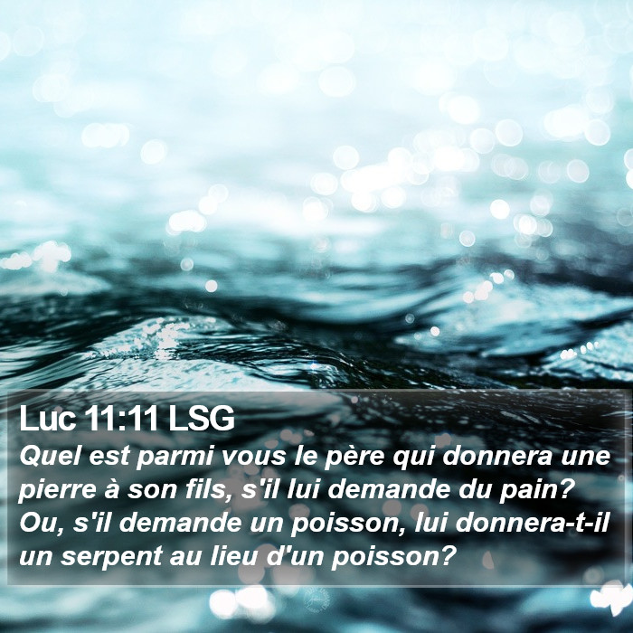 Luc 11:11 LSG Bible Study