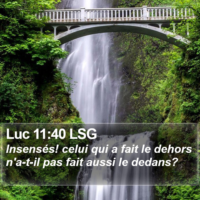 Luc 11:40 LSG Bible Study