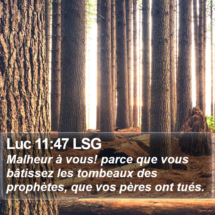 Luc 11:47 LSG Bible Study