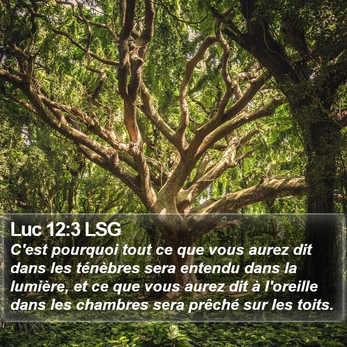 Luc 12:3 LSG Bible Study