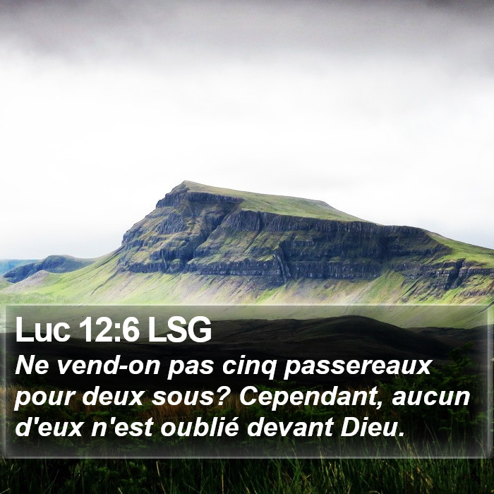 Luc 12:6 LSG Bible Study