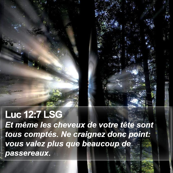 Luc 12:7 LSG Bible Study