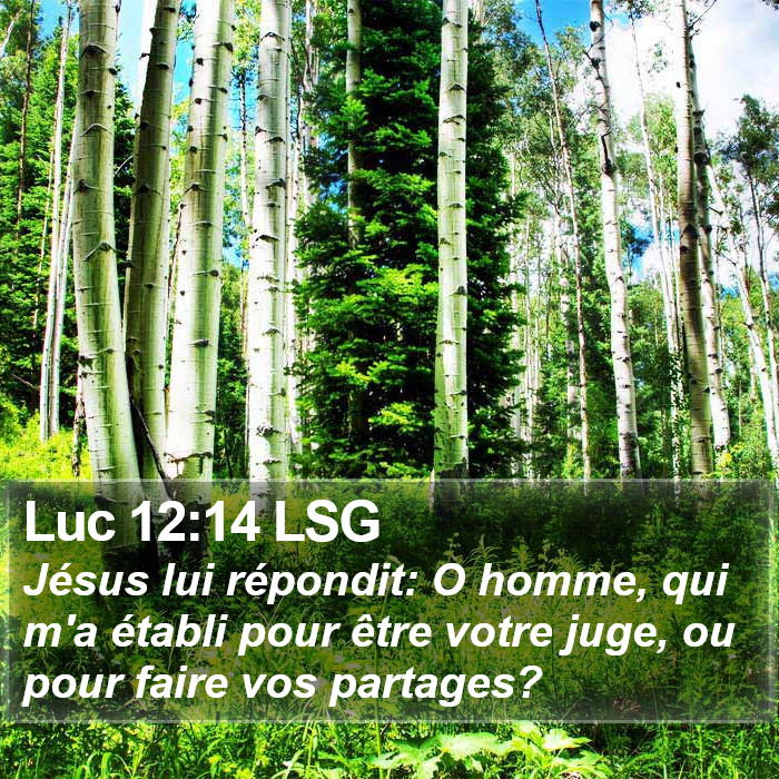 Luc 12:14 LSG Bible Study