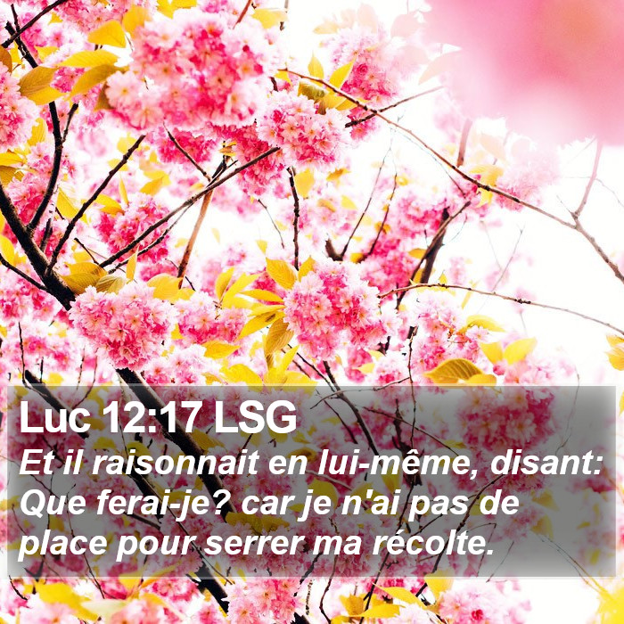 Luc 12:17 LSG Bible Study