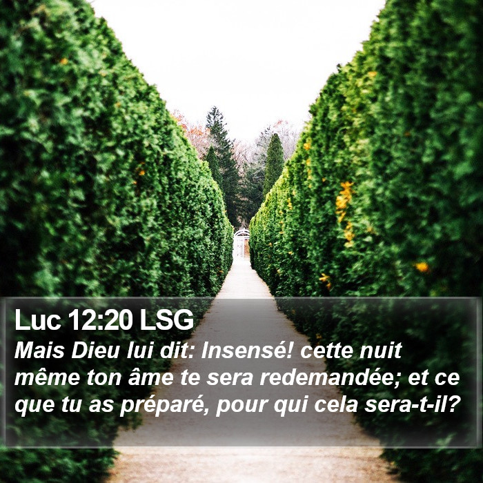 Luc 12:20 LSG Bible Study